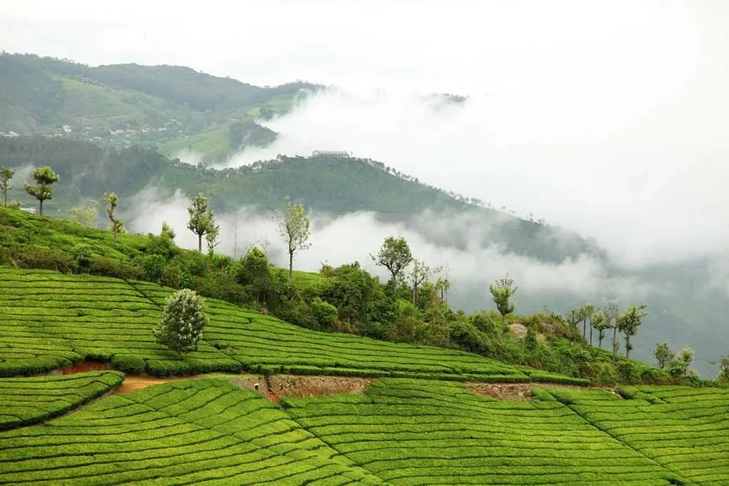 Discovering Ooty: The Queen of Hill Stations